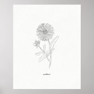 Aster-Linienzeichnungsdruck - Handgezeichnete Tint Poster