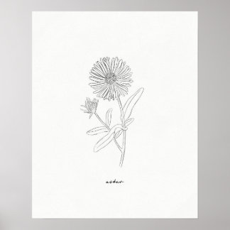 Aster-Linienzeichnungsdruck - Handgezeichnete Tint Poster