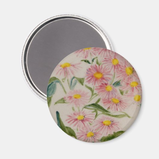 Aster Magnet (Vorderseite/Rückseite)