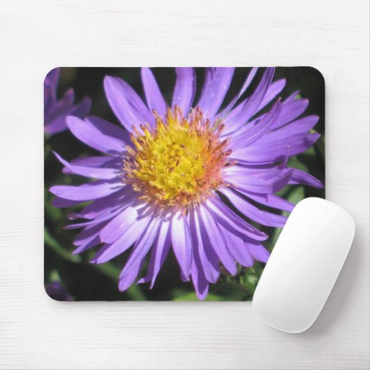 Aster Mousepad (Mit Mouse)