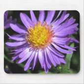 Aster Mousepad (Vorne)