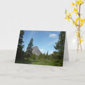 Aster Park Trail am Glacier Nationalpark Karte (Gelbe Blume)