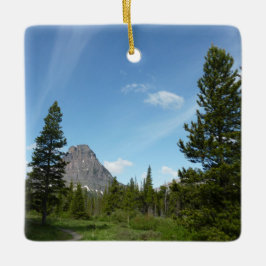 Aster Park Trail am Glacier Nationalpark Keramikornament