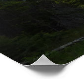 Aster Park Trail am Glacier Nationalpark Poster (Ecke)