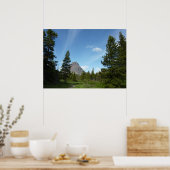 Aster Park Trail am Glacier Nationalpark Poster (Küche)