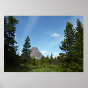 Aster Park Trail am Glacier Nationalpark Poster