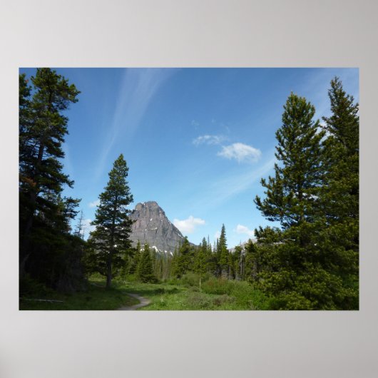 Aster Park Trail am Glacier Nationalpark Poster (Vorne)