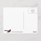 Aster Park Trail am Glacier Nationalpark Postkarte (Rückseite)