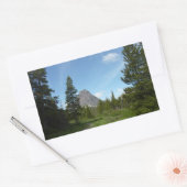 Aster Park Trail am Glacier Nationalpark Rechteckiger Aufkleber (Umschlag)