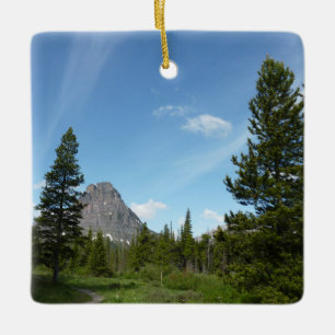 Aster Park Trail im Glacier National Park Keramikornament