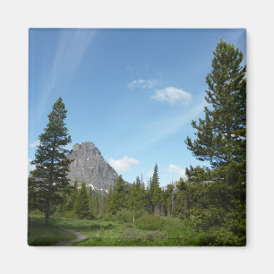 Aster Park Trail im Glacier-Nationalpark Magnet