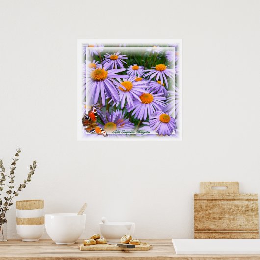 Aster ~ Poster (Küche)