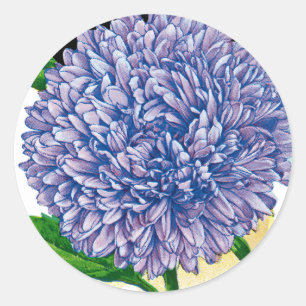 Aster-Samenpaket im Vintage-Stil Runder Aufkleber