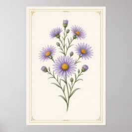 Aster, September Geburtsblumen-Wandkunst-Druck  Poster