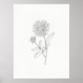 Aster Sketch Print Poster (Vorne)