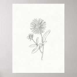 Aster Sketch Print Poster