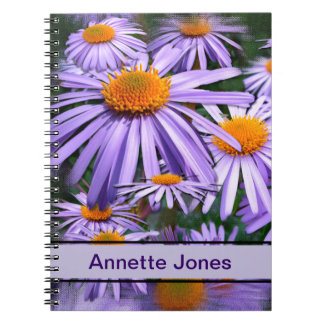 Aster tongolensis 'Berggarten' Notizblock