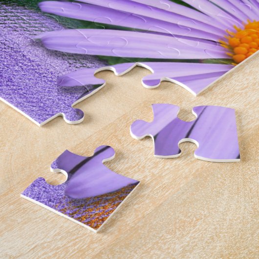 Aster tongolensis puzzle (Seite)