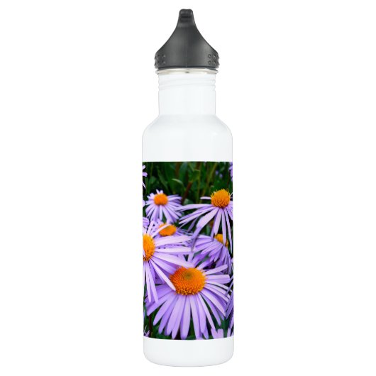 Aster Trinkflasche (Rechts)