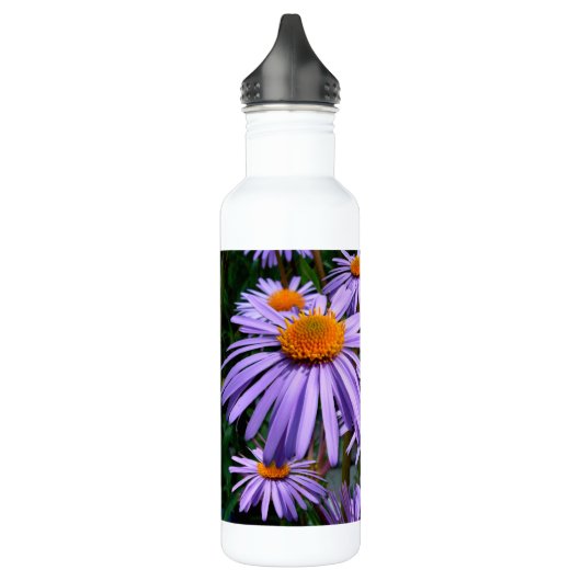 Aster Trinkflasche (Links)