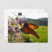 Aster Visitor Postkarte (Vorne/Hinten)