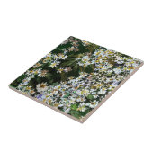 ASTERBLUMEN FLIESE (Seite)