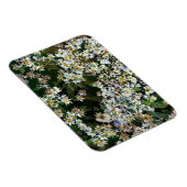ASTERBLUMEN MAGNET (Rechte Seite)