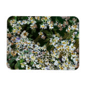 ASTERBLUMEN MAGNET (Horizontal)