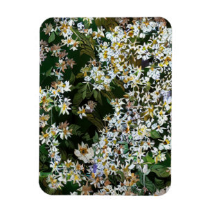 ASTERBLUMEN MAGNET