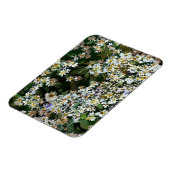 ASTERBLUMEN MAGNET (Linke Seite)