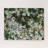 ASTERBLUMEN PUZZLE (Horizontal)
