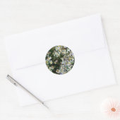 ASTERBLUMEN RUNDER AUFKLEBER (Umschlag)