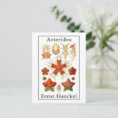 Asteridea by Ernst Haeckel Postkarte (Stehend Vorderseite)