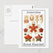Asteridea by Ernst Haeckel Postkarte (Vorne/Hinten)