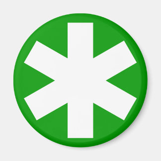 Asterisk - grün magnet