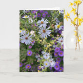Astern Karte (Gelbe Blume)