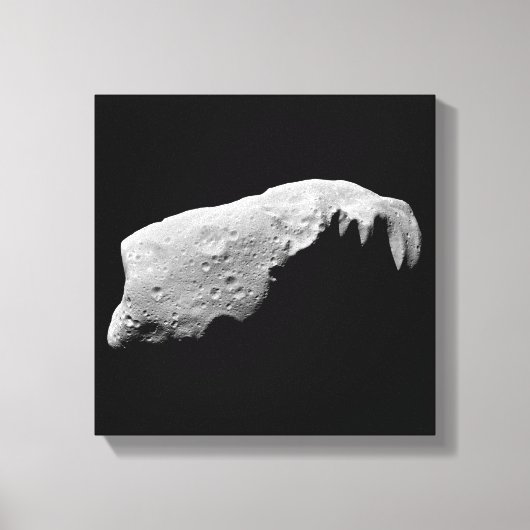 Asteroid 243 Ida Leinwanddruck (Vorderseite)