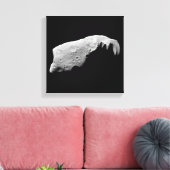 Asteroid 243 Ida Leinwanddruck (Insitu (Wohnzimmer))
