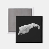 Asteroid 243 Ida Magnet (Vorderseite/Rückseite)