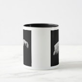 Asteroid 243 Ida Tasse (Zentrum)