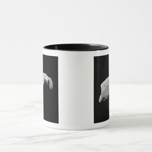 Asteroid 243 Ida Tasse (Zentrum)