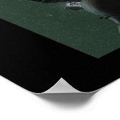Asteroid Poster (Ecke)