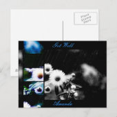 Asters Aglow Collage Postcard *Anpassen* Postkarte (Vorne/Hinten)