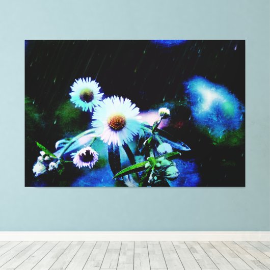Asters Aglow gepackte Canvas Prints Leinwanddruck (Insitu (Holzboden))