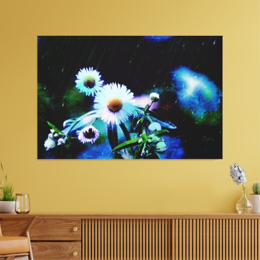 Asters Aglow gepackte Canvas Prints Leinwanddruck (Insitu (Wohnzimmer))