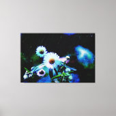 Asters Aglow gepackte Canvas Prints Leinwanddruck (Vorderseite)