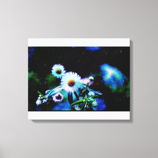 Asters Aglow gepackte Canvas Prints Leinwanddruck (Vorderseite)