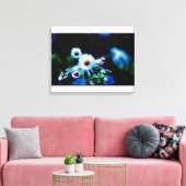 Asters Aglow gepackte Canvas Prints Leinwanddruck (Insitu (Wohnzimmer))