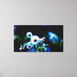 Asters Aglow gepackte Canvas Prints Leinwanddruck