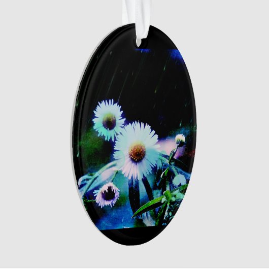 Asters Aglow Oval Ornament (Vorderseite)